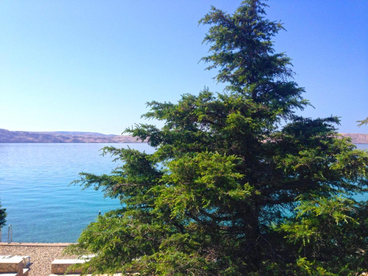Apartmani Ribarica**** Karlobag Dış mekan fotoğraf
